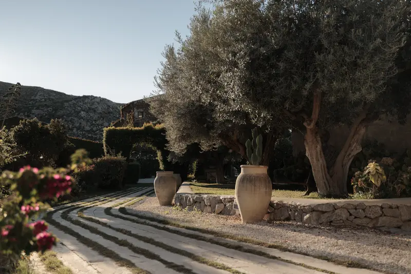 Allée du jardin avec oliviers et amphores