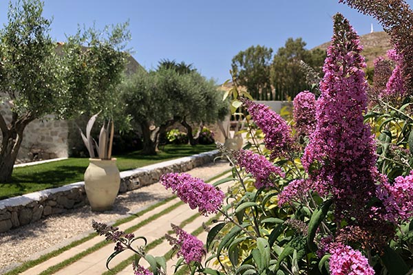 Masseria Agnello Garden