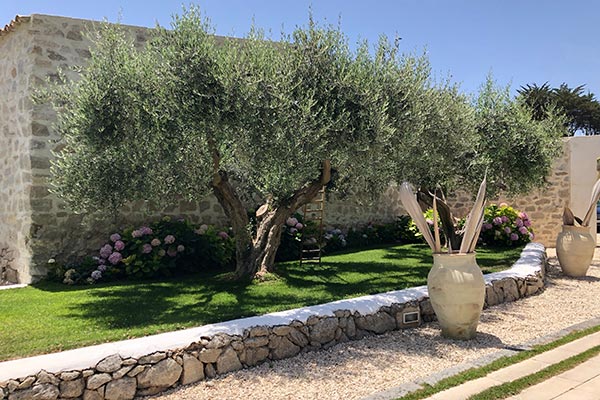 Masseria Agnello Garden