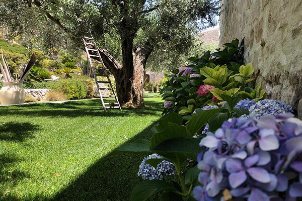 Masseria Agnello Garden