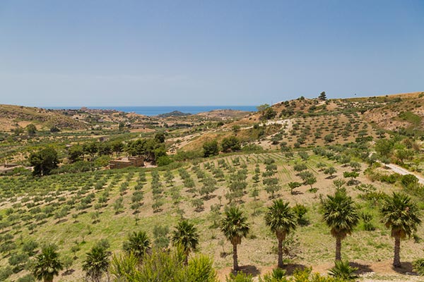 Masseria Agnello Garden