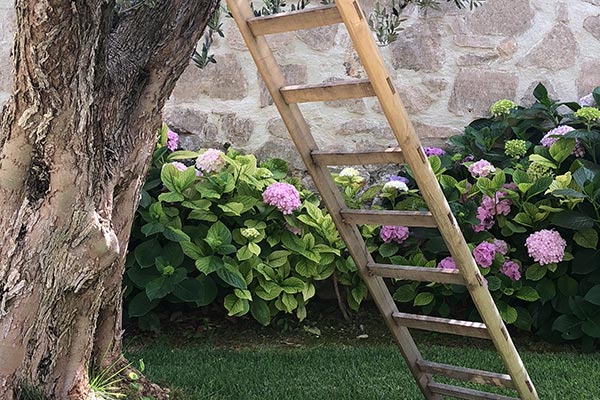 Masseria Agnello Garden